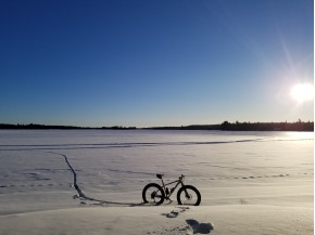 Carbon fat bicycle from Canada