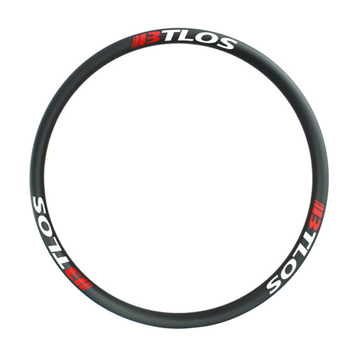 Mountain Bike Plus Carbon Wheels