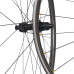 Coating Free Asymmetric 26.2mm inner width XC Trail shallow carbon wheelset