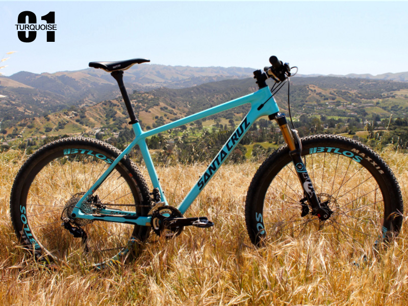 mountain bike color customizer