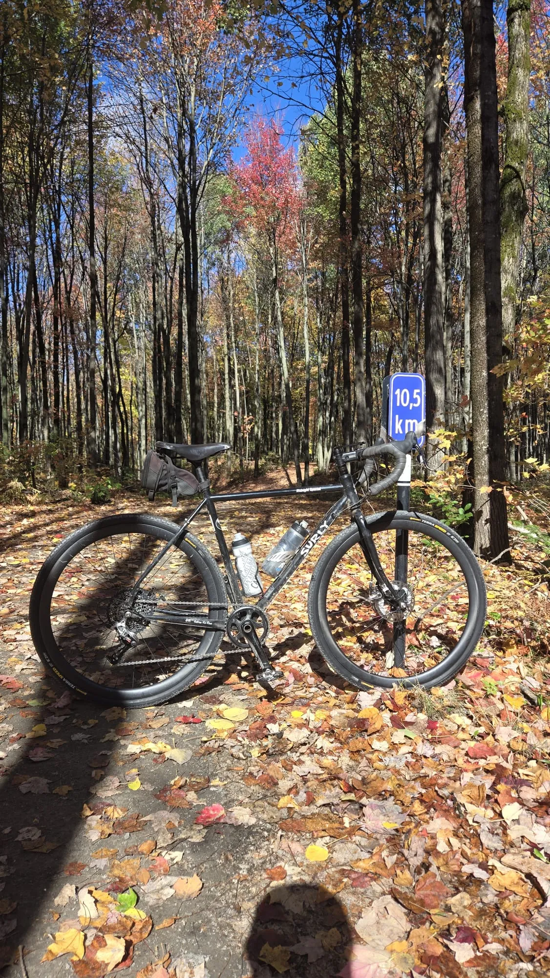 Carbon disc brake gravel wheels