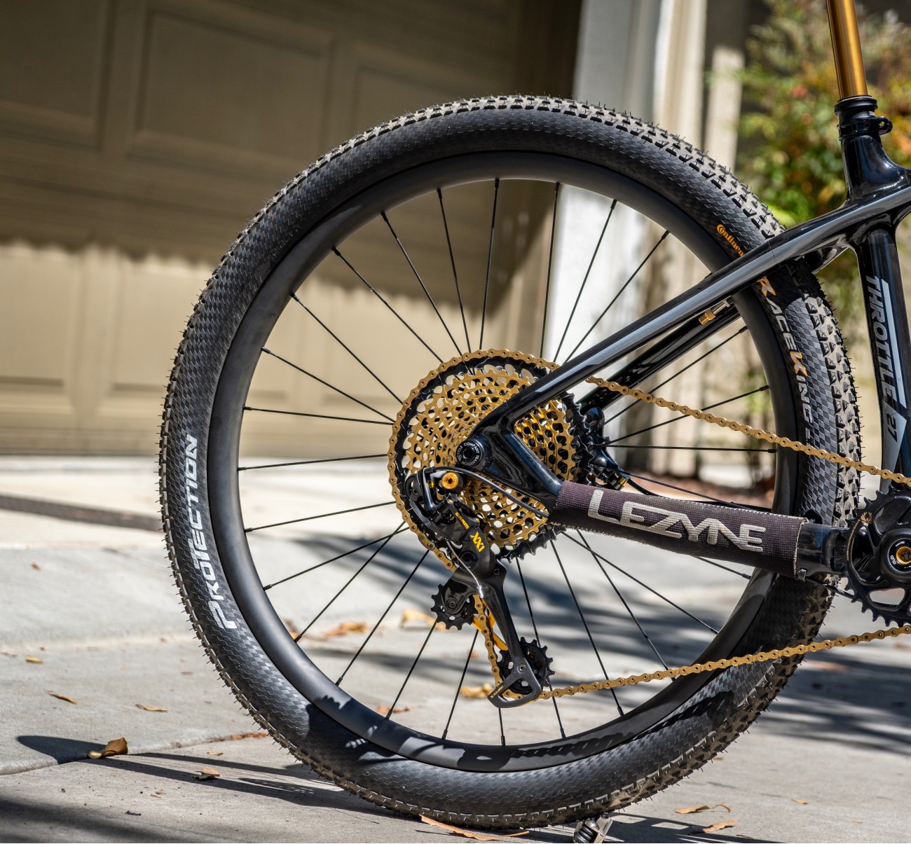 rear carbon wheel and gold flywheel